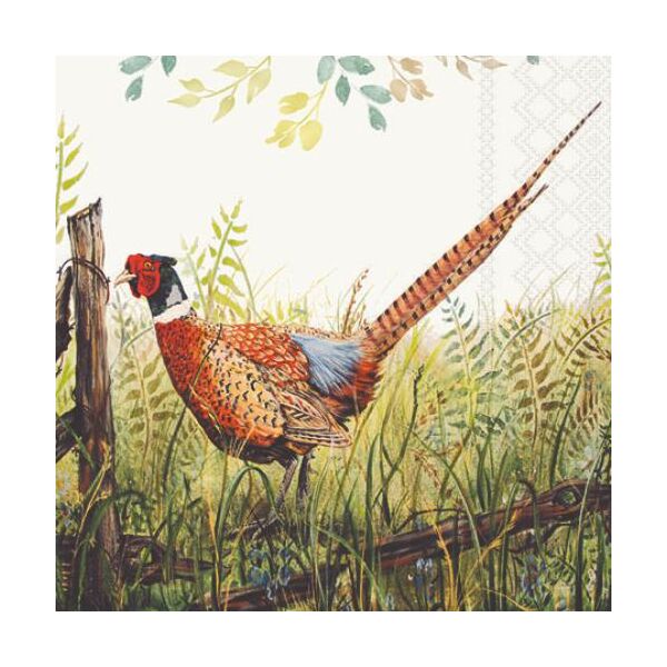 Servietten Cocktail 25x25 cm 3-lagig 20 Stück Fasan glorious pheasant
