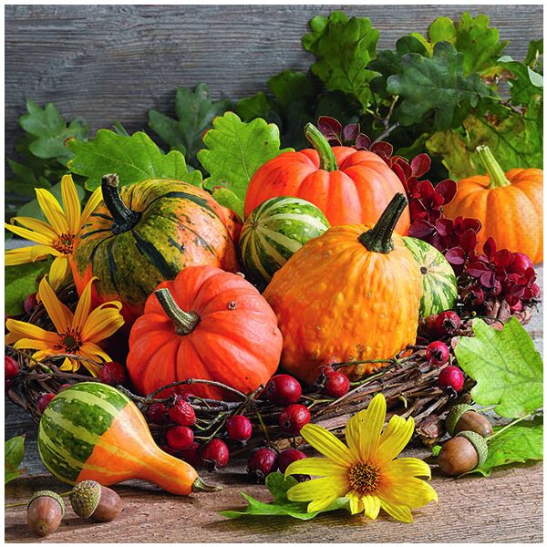 Herbst Servietten 33x33 cm 3-lagig 20 Stück verschiedene Kürbisse