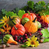 Herbst Servietten 33x33 cm 3-lagig 20 Stück...