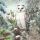 Weihnachten Servietten 25x25 cm 3-lagig 20 Stück Snowy owl FSC Mix  Eule Wald Weihnachten