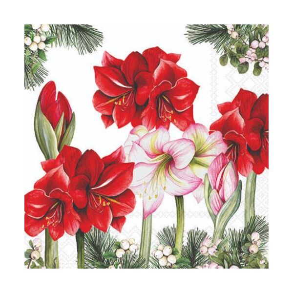 Weihnachten Servietten 25x25 cm 3-lagig 20 Stück Blooming amaryllis white FSC Mix  Amaryllis Ritterstern weiß