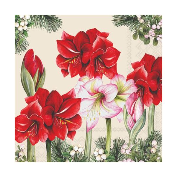 Weihnachten Servietten 25x25 cm 3-lagig 20 Stück Blooming amaryllis cream FSC Mix  Amaryllis Ritterstern creme