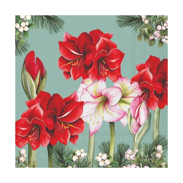 Weihnachten Servietten 25x25 cm 3-lagig 20 Stück Blooming amaryllis sage FSC Mix  Amaryllis Ritterstern grau