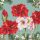 Weihnachten Servietten 25x25 cm 3-lagig 20 Stück Blooming amaryllis sage FSC Mix  Amaryllis Ritterstern grau
