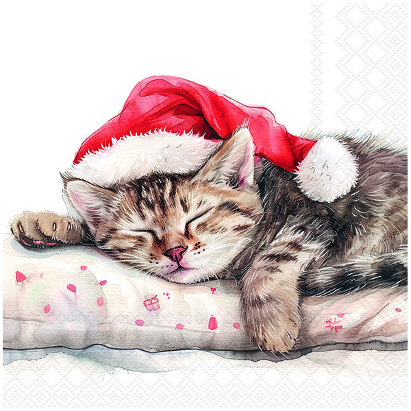 Weihnachten Servietten 33x33 cm 3-lagig 20 Stück Dreaming about X-Mas FSC Mix  Katze Nikolausmütze