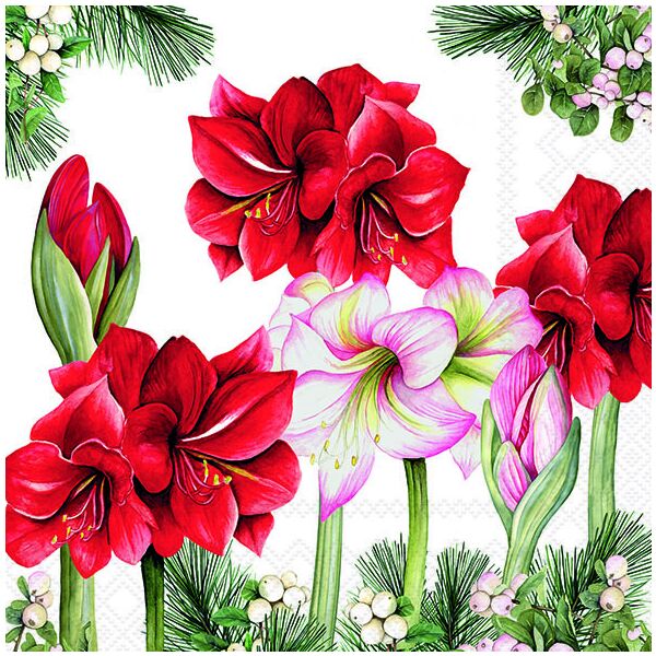 Weihnachten Servietten 33x33 cm 3-lagig 20 Stück Blooming amaryllis white FSC Mix  Amaryllis Ritterstern weiß
