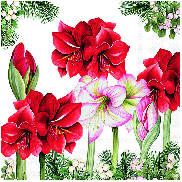 Weihnachten Servietten 33x33 cm 3-lagig 20 Stück Blooming amaryllis white FSC Mix  Amaryllis Ritterstern weiß