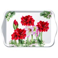 Weihnachten Tablett 13 x 21 cm Blooming amaryllis white...