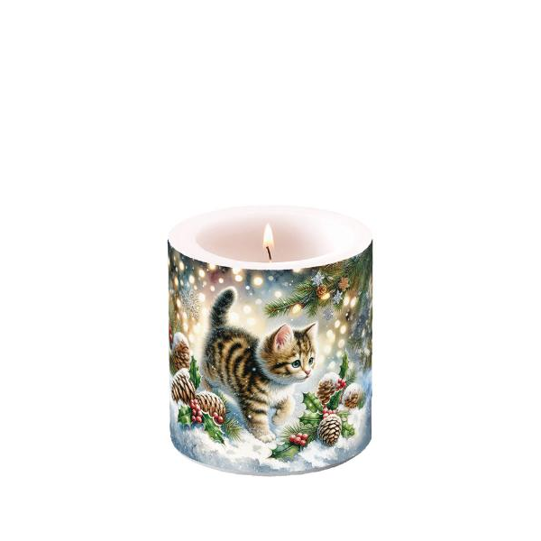 Weihnachten Kerze klein Ø 7,5 cm x 9 cm Cute cat in the snow  Katze Schnee Tannenzapfen Ilex