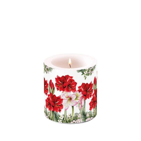Weihnachten Kerze klein Ø 7,5 cm x 9 cm Blooming amaryllis white  Amaryllis Ritterstern weiß