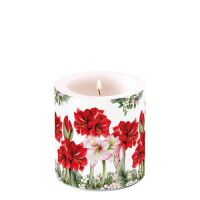 Weihnachten Kerze klein Ø 7,5 cm x 9 cm Blooming...