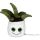 Schmoozies® Evergreenies® Aloe Vera Tabletreiniger Displayreiniger Unterseite aus Mikrofaser