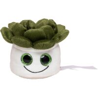 Schmoozies® Evergreenies® Sukkulente Pflanze...