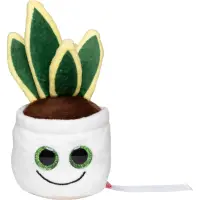 Schmoozies® Evergreenies® Bogenhanf Pflanze...