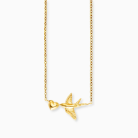 Grußkarte Freedom mit Halskette Edelstahl Gold und Umschlag Engelsrufer let go & be free