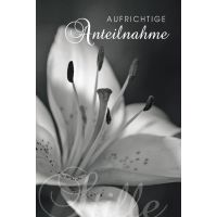 Trauerkarte Florentino - Beileidskarte –...
