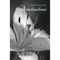 Trauerkarte Florentino - Beileidskarte –...