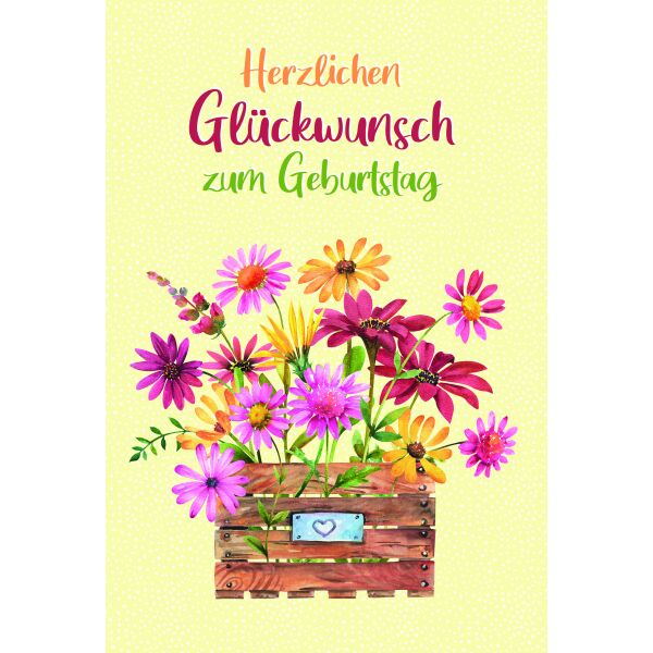Geburtstag Herzlichen Glückwunsch Blumenkiste Glückwunschkarte mit Umschlag