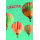 Geburtstag Hoch sollst du leben Heißluftballons Glückwunschkarte mit Umschlag
