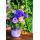 Geburtstag Happy Birthday Blumenvase  Glückwunschkarte mit Umschlag