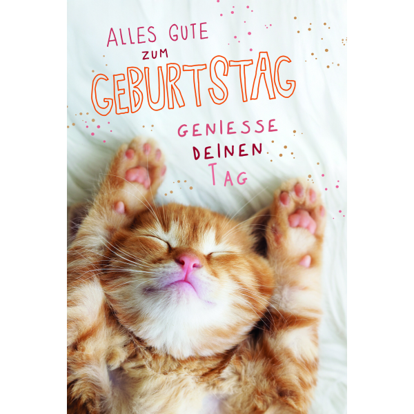 Geburtstag Geniesse den Tag Katze auf dem Rücken Glückwunschkarte mit Umschlag