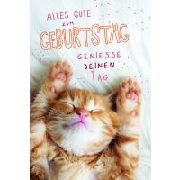 Geburtstag Geniesse den Tag Katze auf dem Rücken...