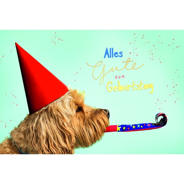 Geburtstag Alles Gute Hund mit Tröte Glückwunschkarte mit Umschlag