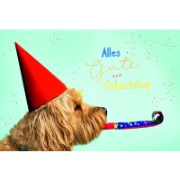 Geburtstag Alles Gute Hund mit Tröte...