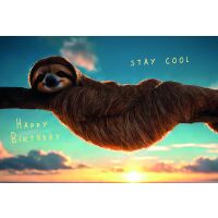 Geburtstag Happy Birthday Faultier Stay Cool...
