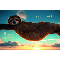 Geburtstag Happy Birthday Faultier Stay Cool...