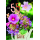 55. Geburtstag Alles Gute Blumen Glückwunschkarte mit Umschlag