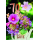 70. Geburtstag Alles Gute Blumen Glückwunschkarte mit Umschlag