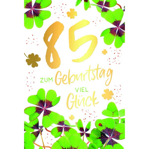 85. Geburtstag Viel Glück Glücksklee Glückwunschkarte mit Umschlag