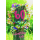 60. Geburtstag Sommer auf dem Land Alles Gute Blumenkranz Glückwunschkarte mit Umschlag