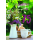 75. Geburtstag Sommer auf dem Land Alles Gute Blumen Kaffee Glückwunschkarte mit Umschlag