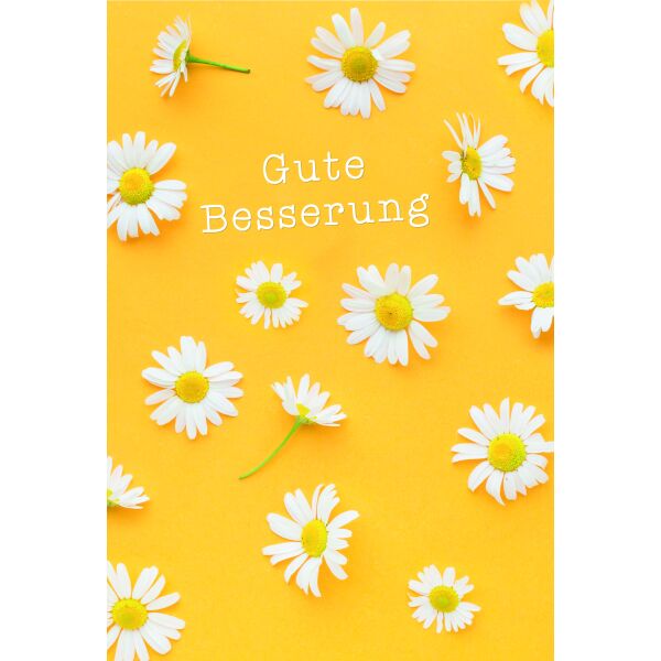 Genesung Gute Besserung Margeriten Glückwunschkarte mit Umschlag