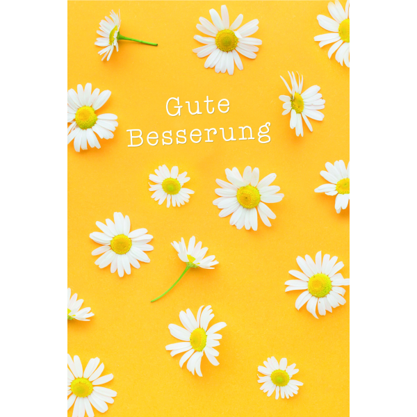 Genesung Gute Besserung Margeriten Glückwunschkarte mit Umschlag