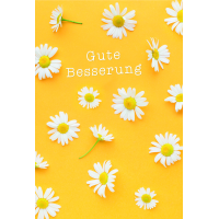 Genesung Gute Besserung Margeriten Glückwunschkarte...