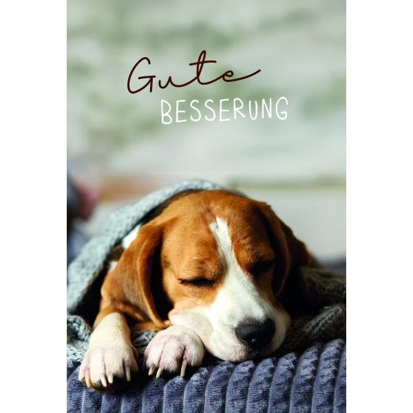 Genesung Gute Besserung Hund Beagle Glückwunschkarte mit Umschlag