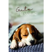 Genesung Gute Besserung Hund Beagle Glückwunschkarte...