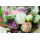 Hochzeit Alles Gute Blumen Glückwunschkarte mit Umschlag