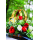 Goldhochzeit Alles Gute Ringe Blumen 50 gold Glückwunschkarte mit Umschlag
