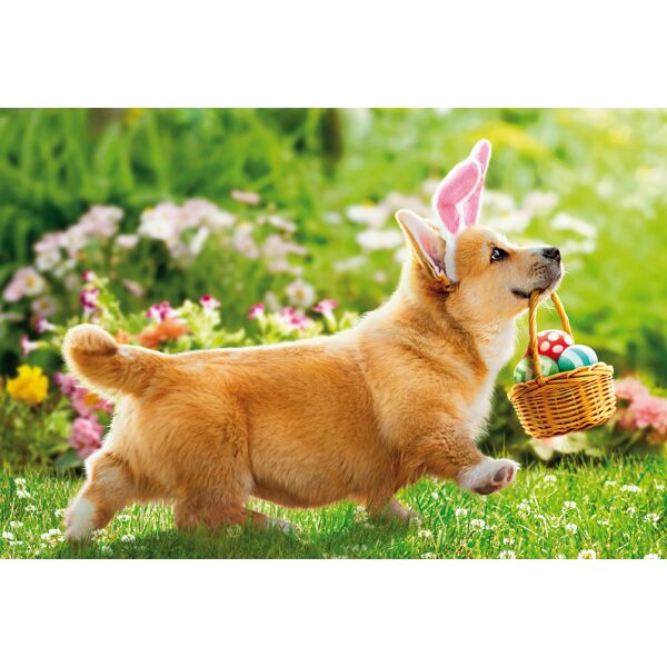 Ostern unverpackte Glückwunschkarte mit Umschlag Fotokarte Hund Eierkorb ohne Text