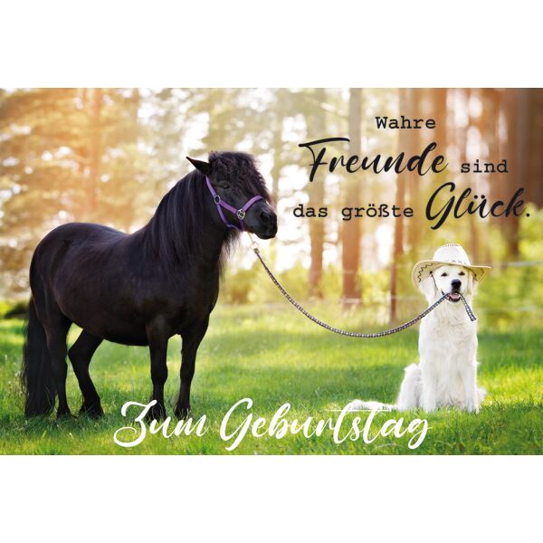 Geburtstag Glückwunschkarte mit Umschlag Hund Pferd Freunde größte Glück