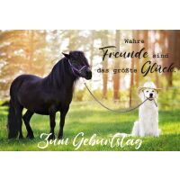 Geburtstag Glückwunschkarte mit Umschlag Hund Pferd...
