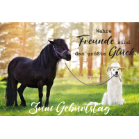 Geburtstag Glückwunschkarte mit Umschlag Hund Pferd...