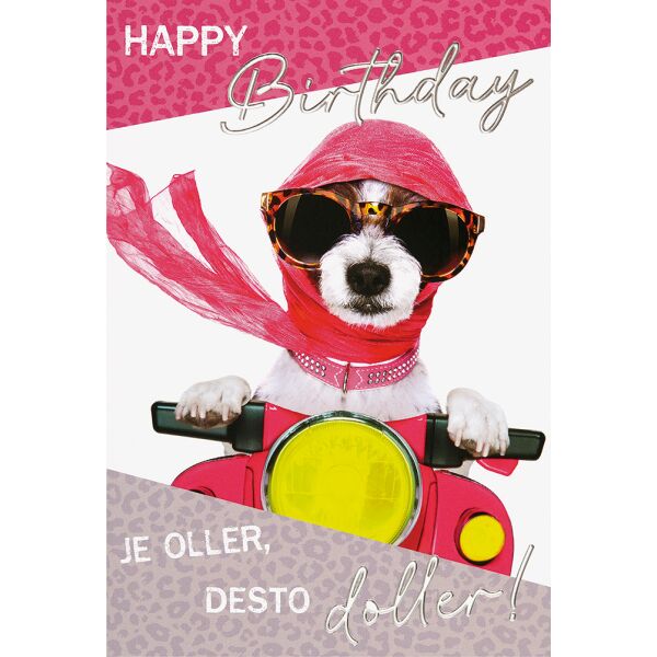 Geburtstag Glückwunschkarte mit Umschlag unverpackte Glückwunschkarte mit Umschlag Hund Roller Je oller desto doller