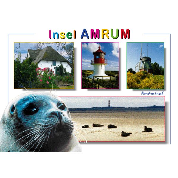 Insel Amrum Nordseeinsel Postkarte Ansichtskarte Robben Leuchtturm