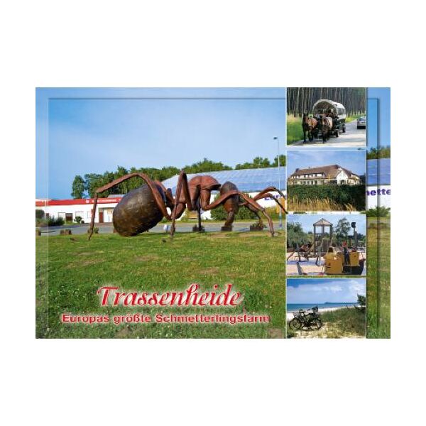 Trassenheide Postkarte Ansichtskarte Schmetterlingsfarm Ostsee Usedom