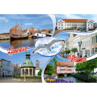 Wismar Postkarte Ansichtskarte Möwe 5 Fotos...